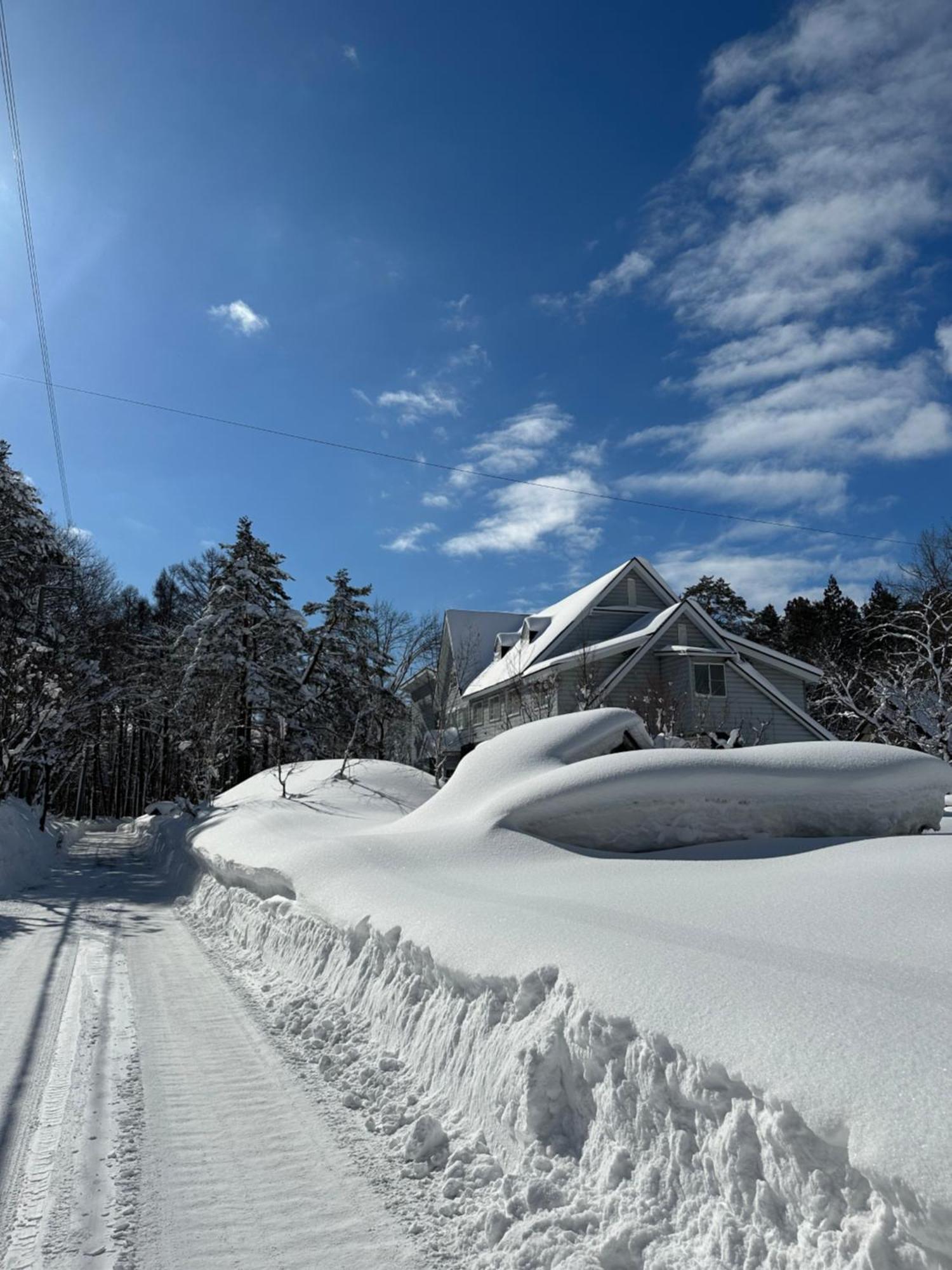 Natural Hot Spring Hakuba Symphony المظهر الخارجي الصورة
