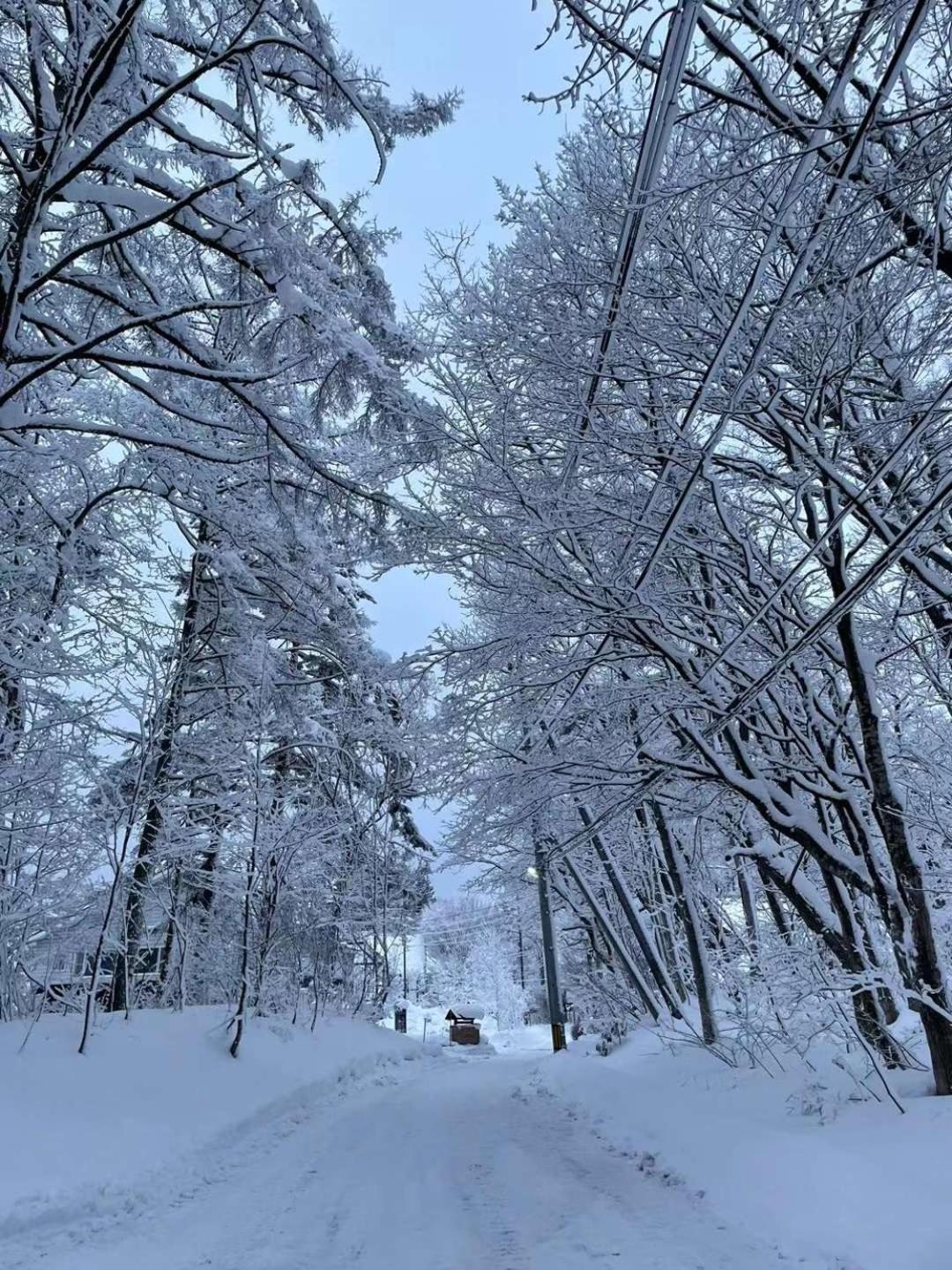 Natural Hot Spring Hakuba Symphony المظهر الخارجي الصورة